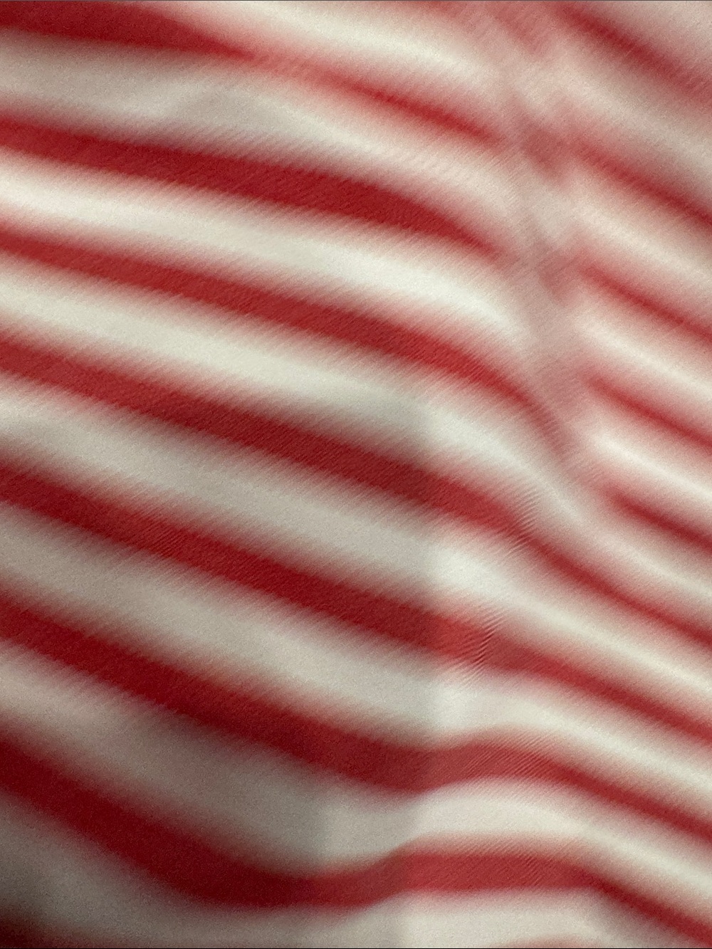 Red & White Striped Button Down Blouse - Picture 9 of 10